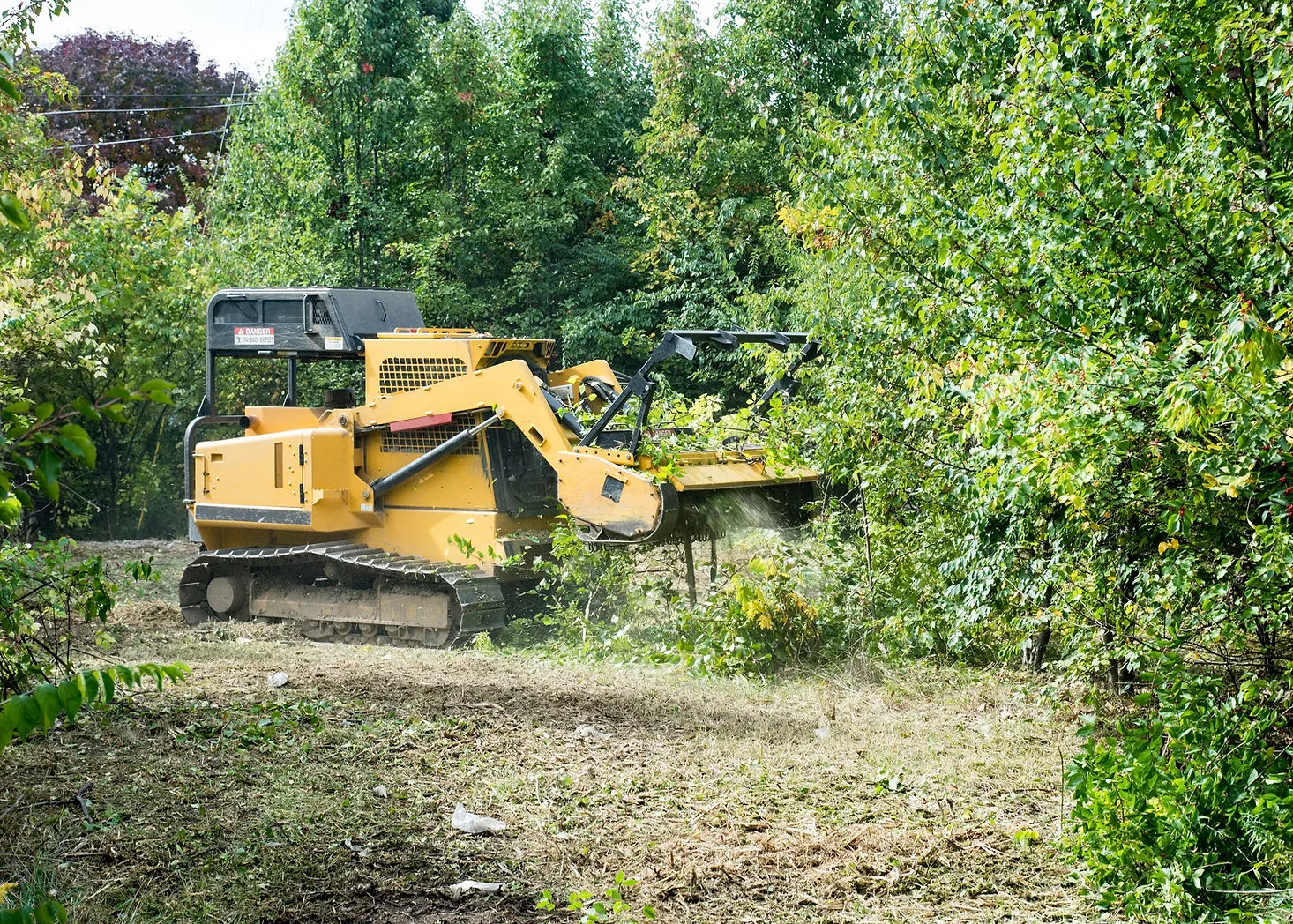 Brush clearing — Coastal Lawn Care
