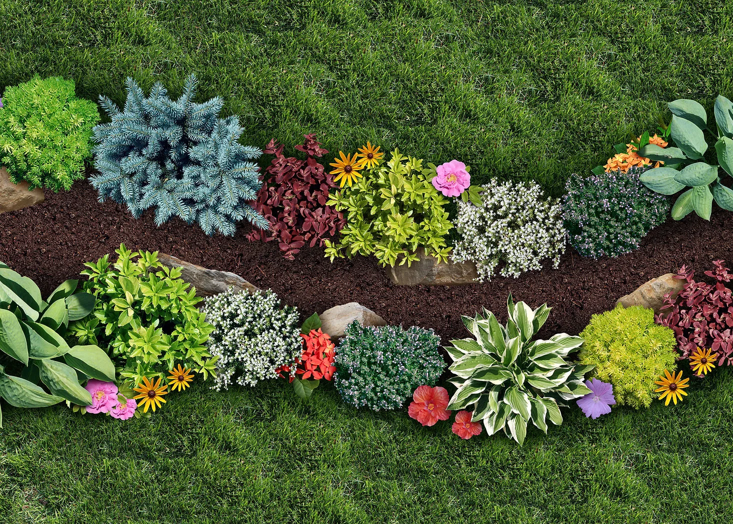Landscape bed design — Coastal Lawn Care