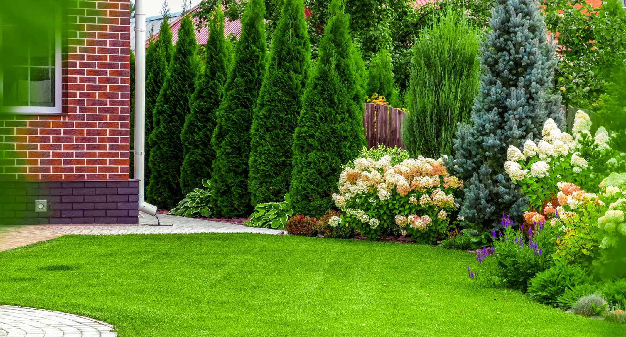 Evergreen and flowering shrub beds along a lawn
